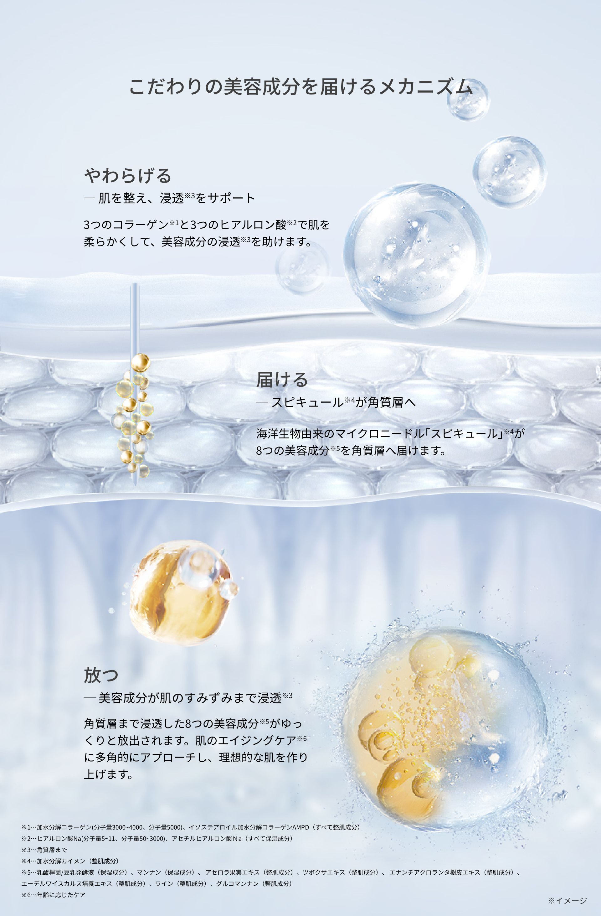 エイジングケアのメカニズム
